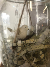 Hanging birds in a jar