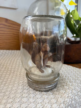 Squirrel Jar