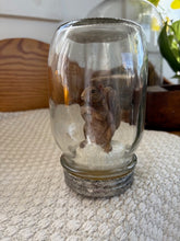 Squirrel Jar