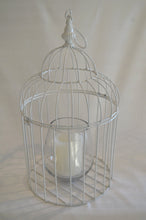 Bird cage plant holder