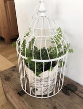 Bird cage plant holder